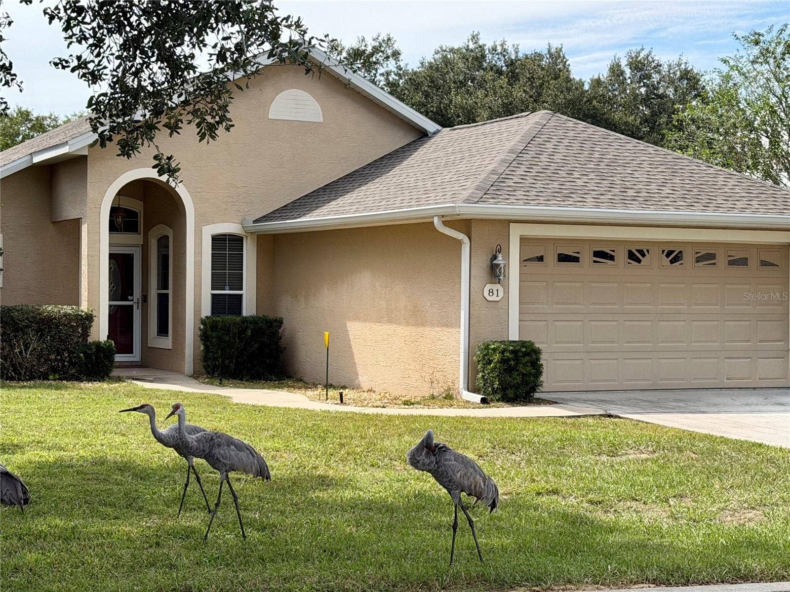 81 GOLFVIEW CIRCLE, Umatilla, FL 32784 Neighbors!