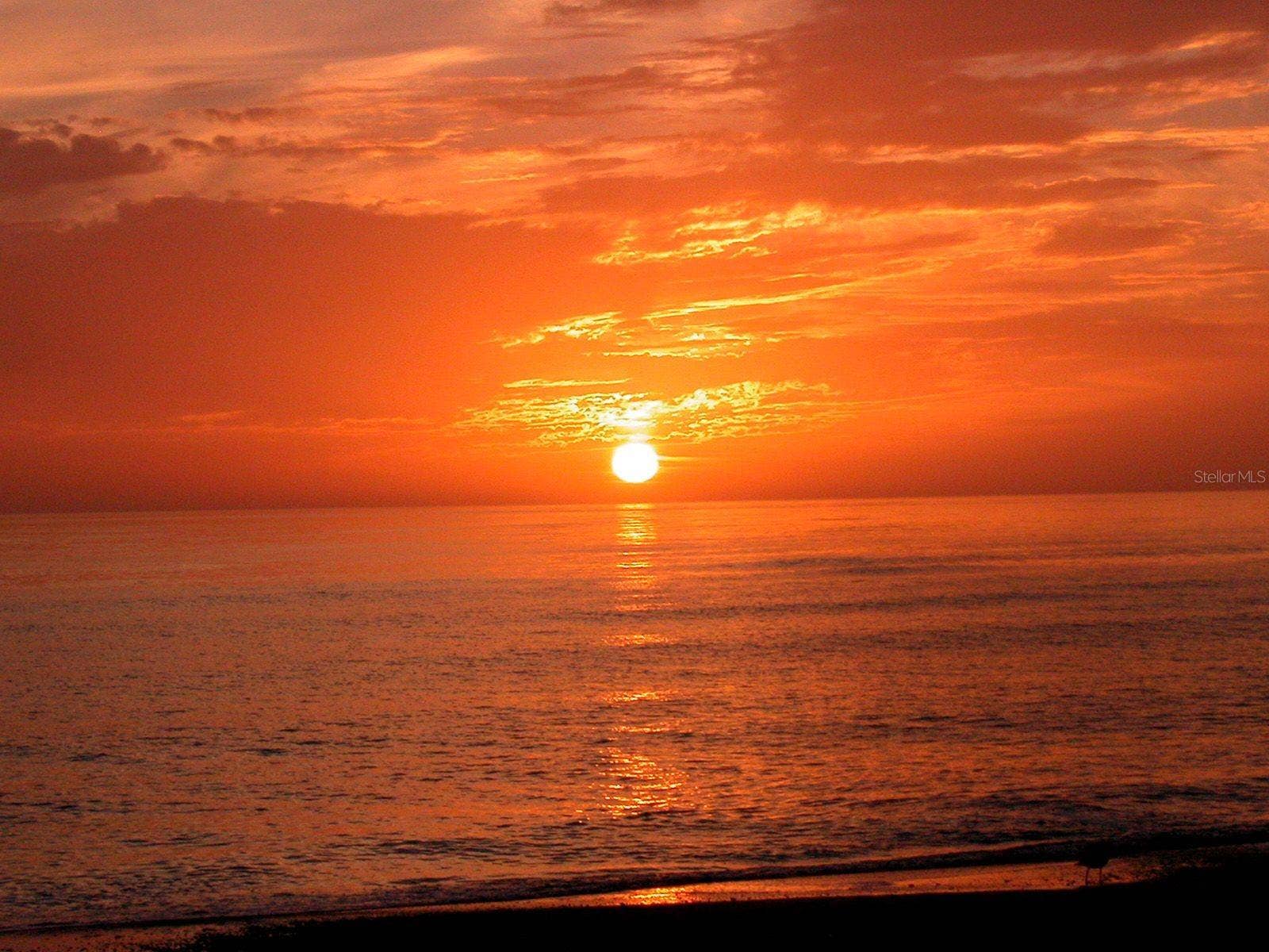 1229 MOONMIST CIRCLE, #P6, Sarasota, FL 34242 Siesta Key Sunsets