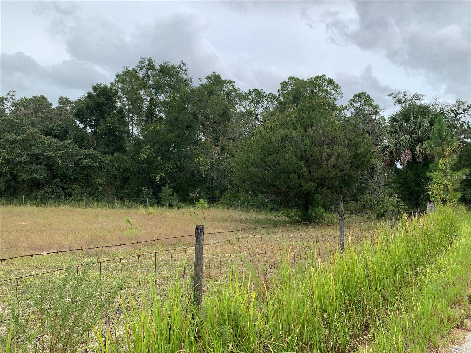 10425 E MOCCASIN SLOUGH ROAD, Inverness, FL 34450 10425 E MOCCASIN SLOUGH ROAD, Inverness, FL 34450