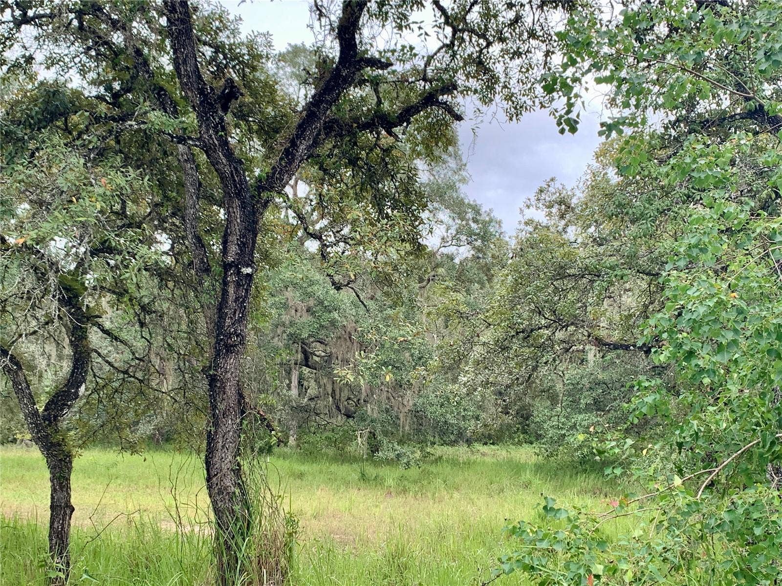 10425 E MOCCASIN SLOUGH ROAD, Inverness, FL 34450 10425 E MOCCASIN SLOUGH ROAD, Inverness, FL 34450