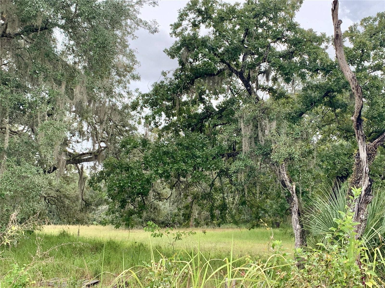 10425 E MOCCASIN SLOUGH ROAD, Inverness, FL 34450 10425 E MOCCASIN SLOUGH ROAD, Inverness, FL 34450