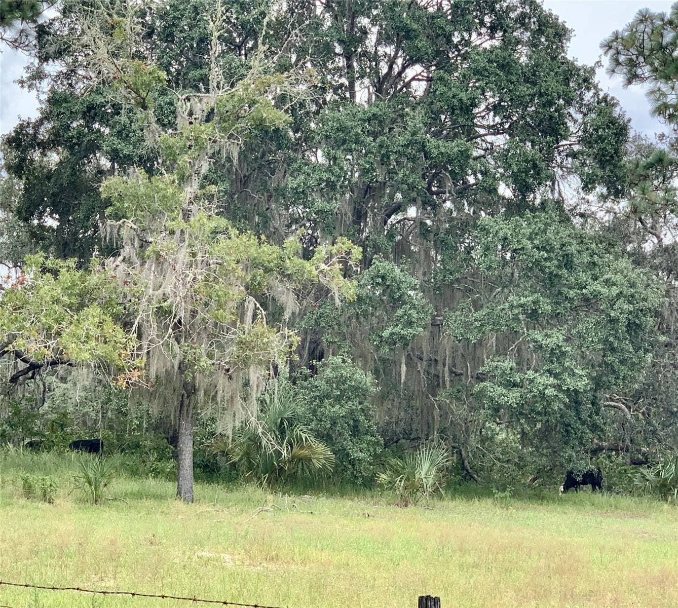 10425 E MOCCASIN SLOUGH ROAD, Inverness, FL 34450 10425 E MOCCASIN SLOUGH ROAD, Inverness, FL 34450