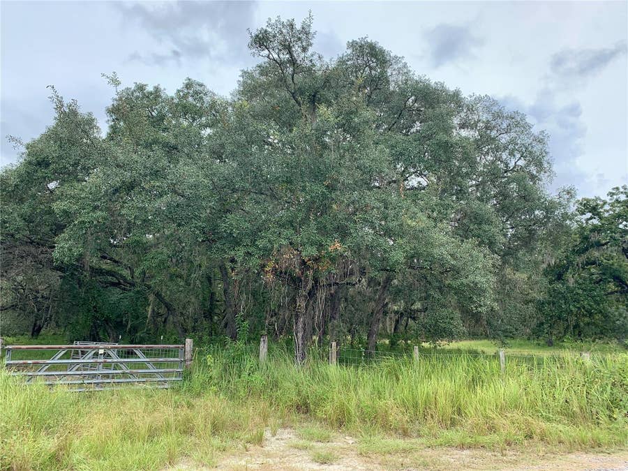 Property photo for 10400 E MOCCASIN SLOUGH ROAD, Inverness, FL