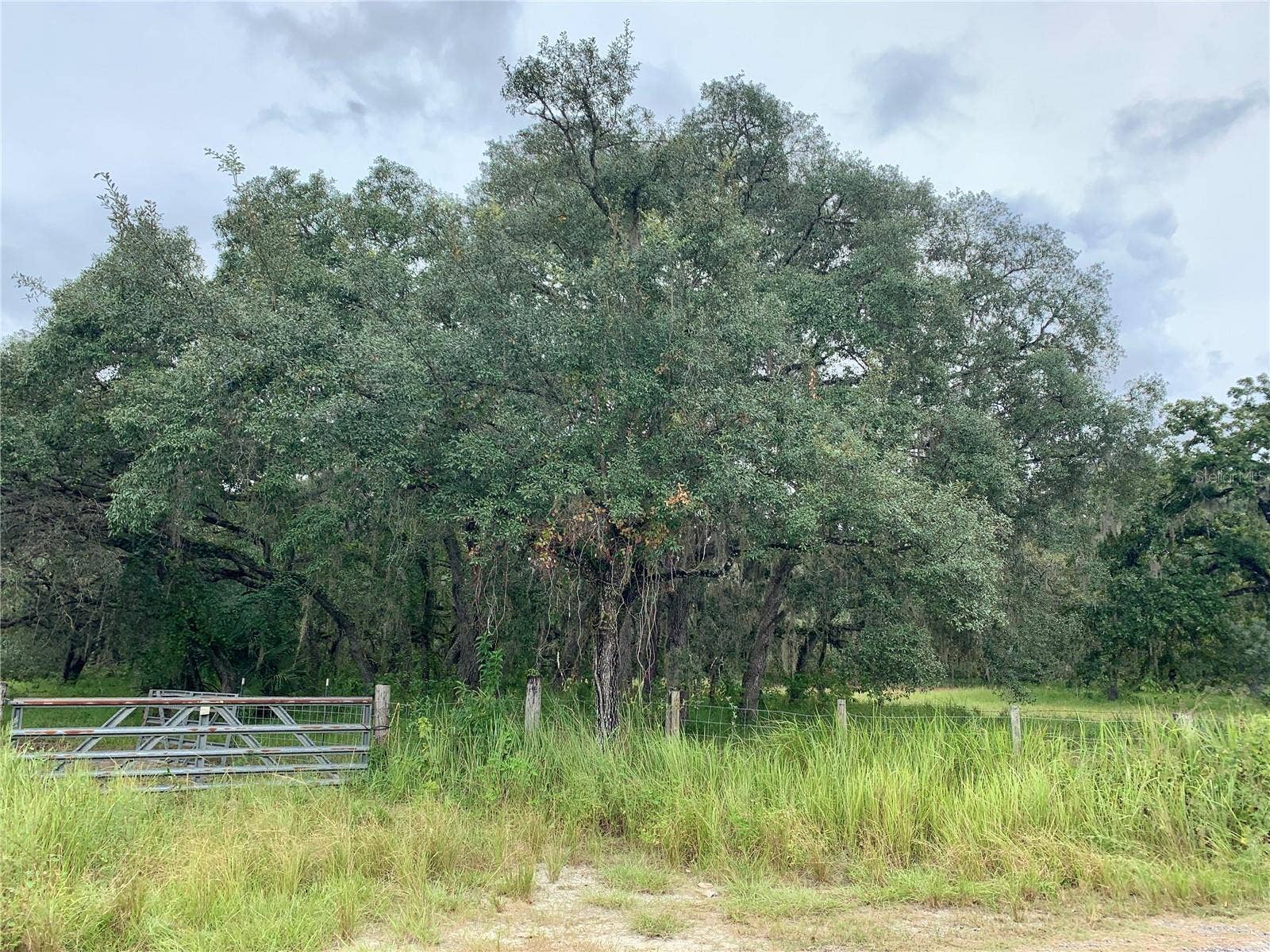 10425 E MOCCASIN SLOUGH ROAD, Inverness, FL 34450 10425 E MOCCASIN SLOUGH ROAD, Inverness, FL 34450