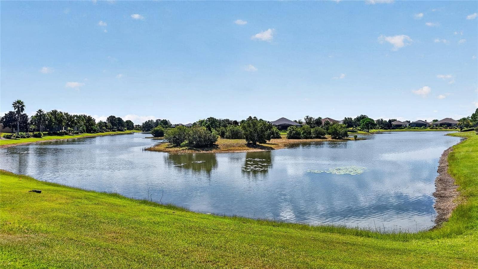 The lake is full of wildlife, there are otters, and numerous species of birds.