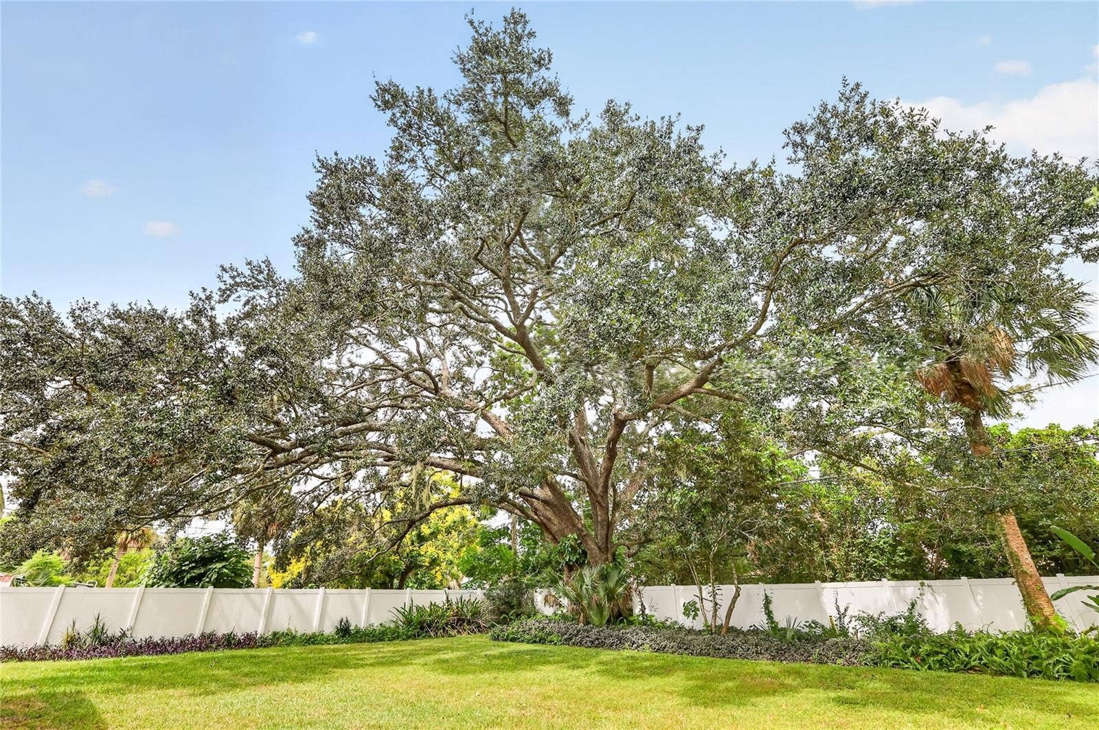 Beautifull Rear yard/ Mature Oak trees