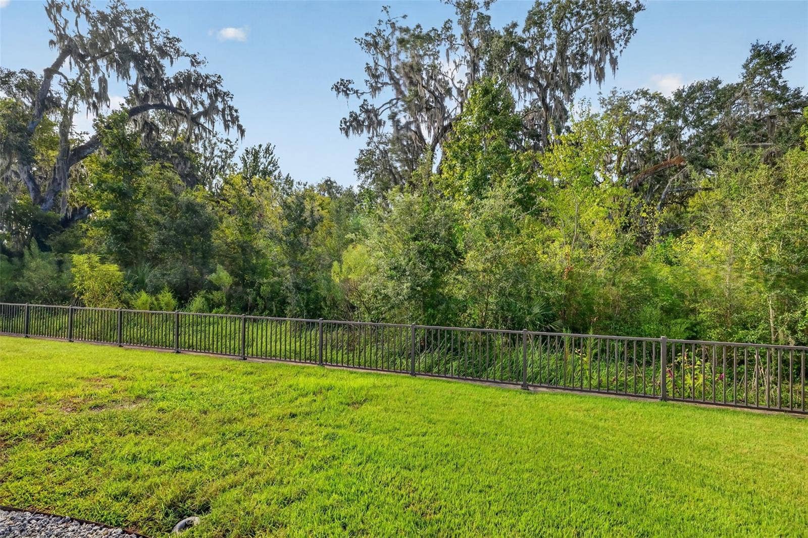 3254 ZIPPERER WAY, The Villages, FL 32163 Rear Yard with TRANQUIL PRERVE VIEWS