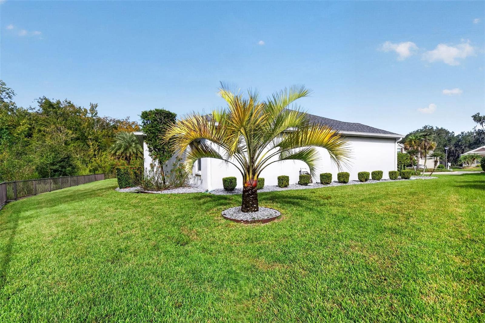 3254 ZIPPERER WAY, The Villages, FL 32163 REAR and Side Elevation with Large Yard and PRIVATE PRESERVE VIEWS