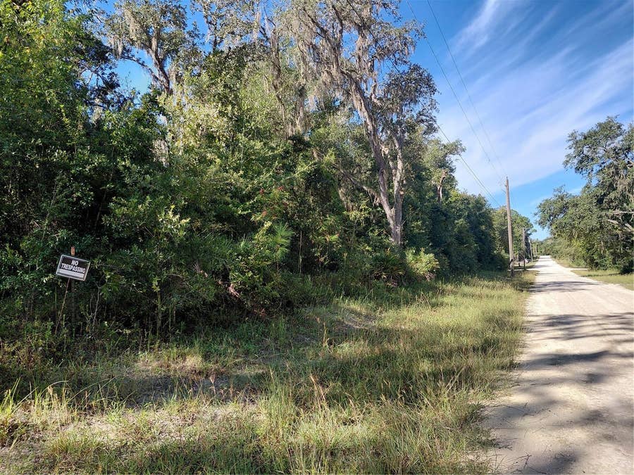 Property photo for BUTTERNUT DRIVE, Webster, FL