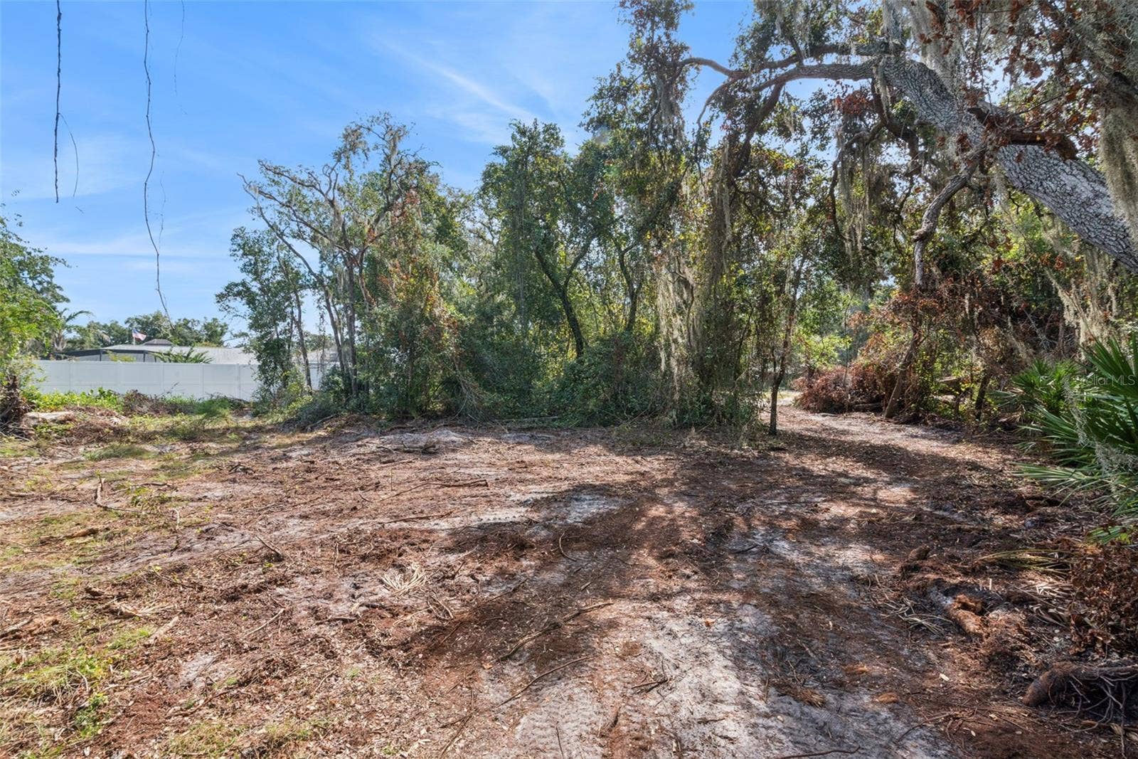 BETHUNE STREET, Leesburg, FL 34788 BETHUNE STREET, Leesburg, FL 34788