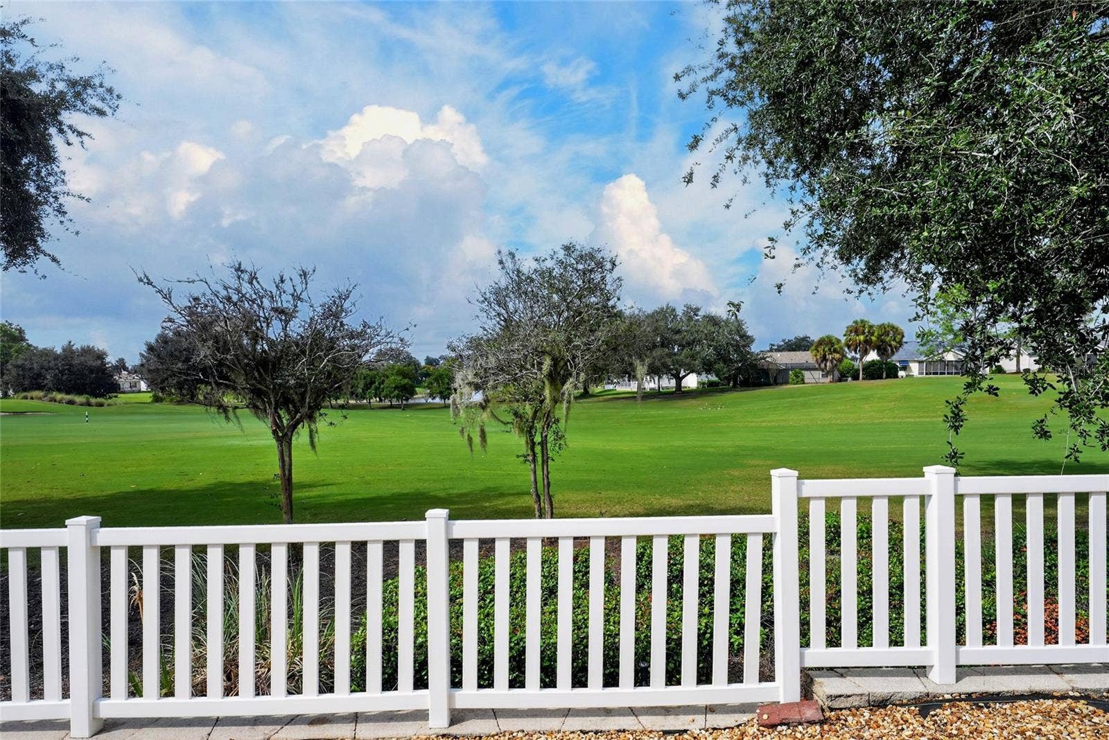 Back yard view