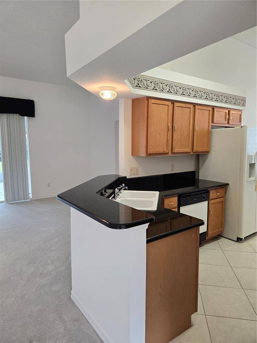 25419 CRESTWATER DRIVE DRIVE, Leesburg, FL 34748