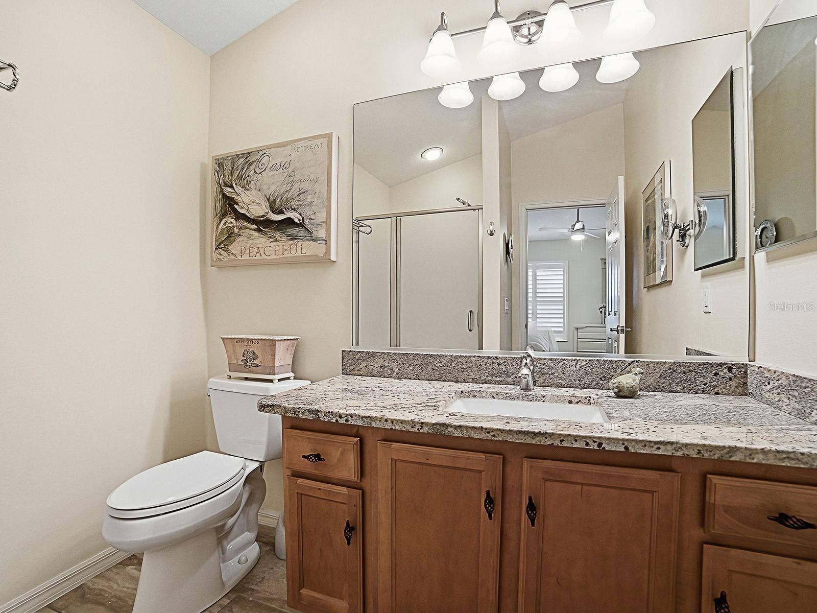 1530 BARNWELL PLACE, The Villages, FL 32162 Master Bathroom has granite counter tops