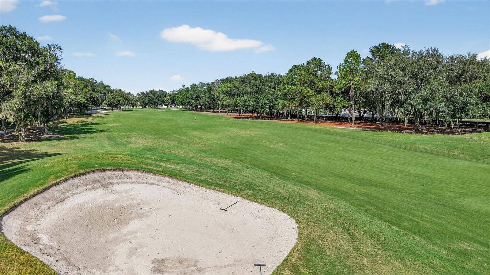 1201 BARCELONA DRIVE, The Villages, FL 32159 Incredible Golf Front Views!