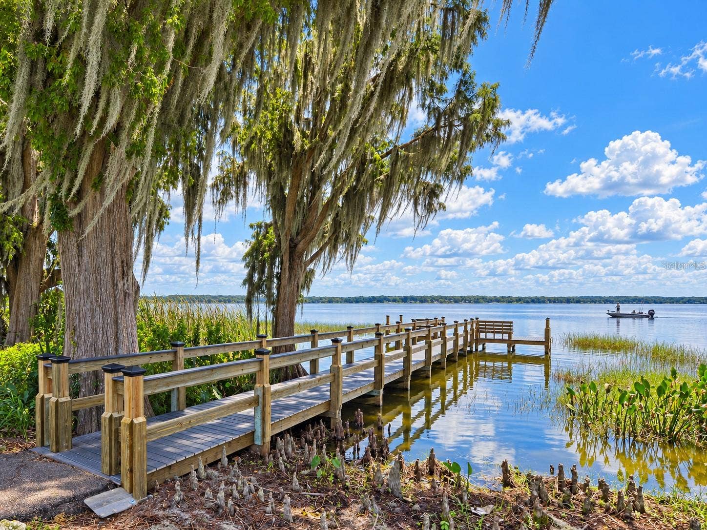 3300 SARATOGA DRIVE, Tavares, FL 32778 3300 SARATOGA DRIVE, Tavares, FL 32778