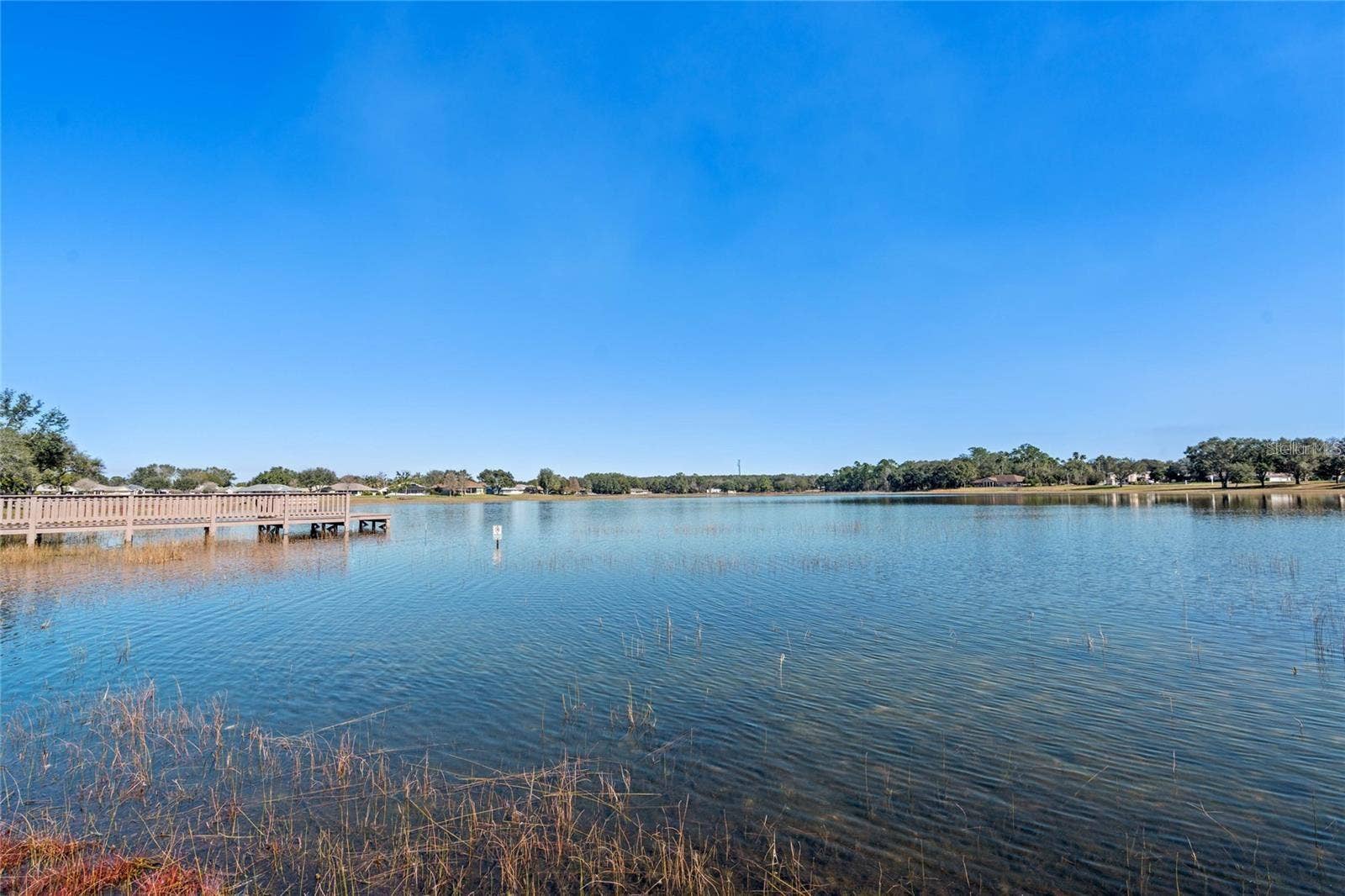 21736 PRINCESS GRACE COURT, Leesburg, FL 34748 ROYAL LAKE is one of several lakes in the community.