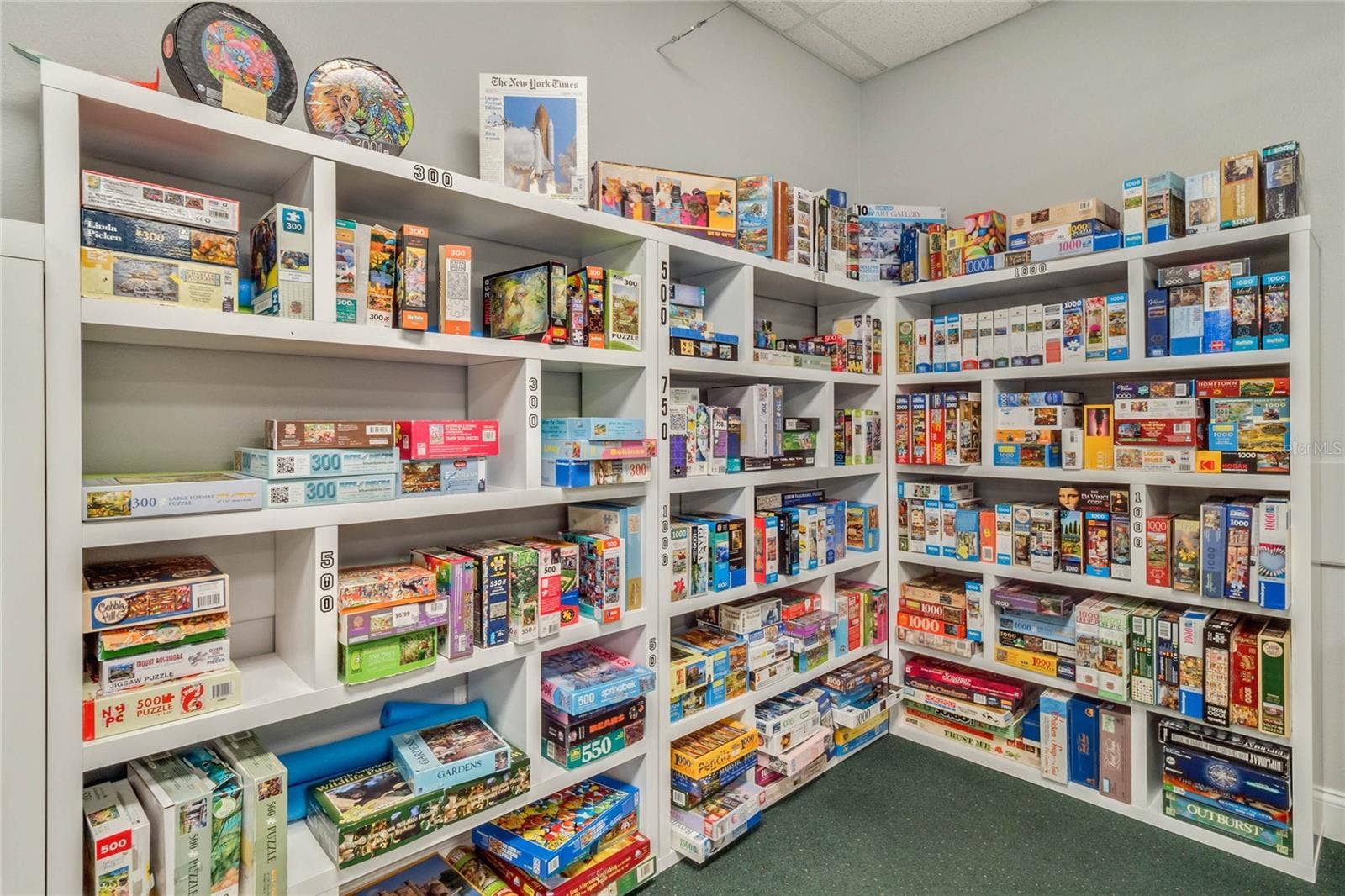 21736 PRINCESS GRACE COURT, Leesburg, FL 34748 GAMES & PUZZLES NOOK at the Rec Center