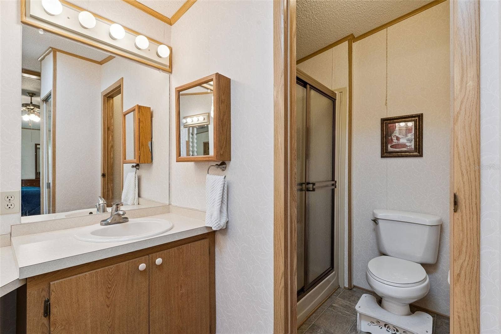 Primary bathroom with vanity, walk-in shower and private toilet area