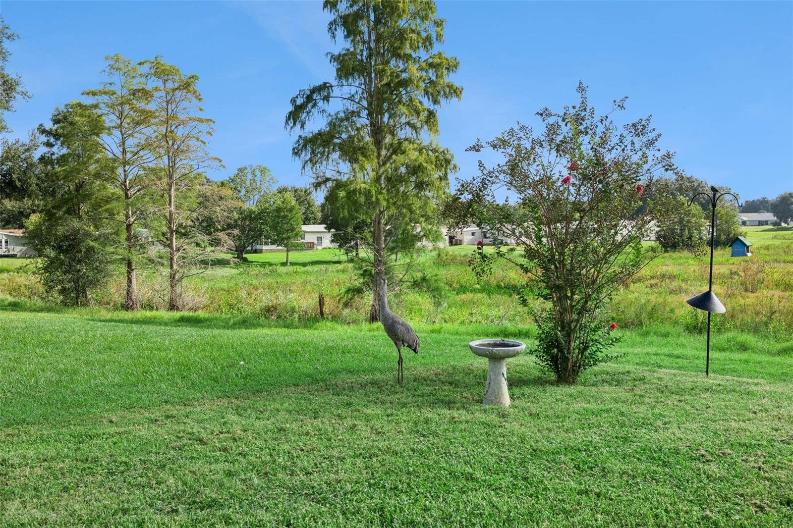 Backyard with birdbath and open view across the marsh