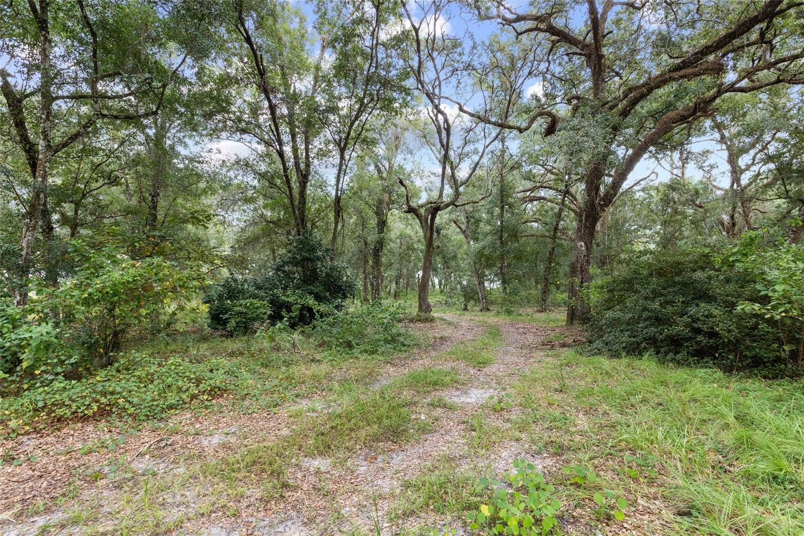 935 CR 738E, Webster, FL 33597 935 CR 738E, Webster, FL 33597