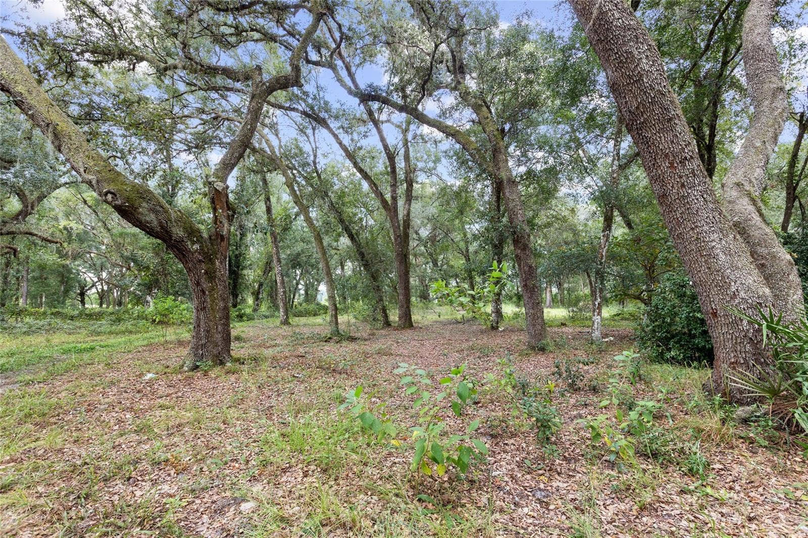 935 CR 738E, Webster, FL 33597 935 CR 738E, Webster, FL 33597