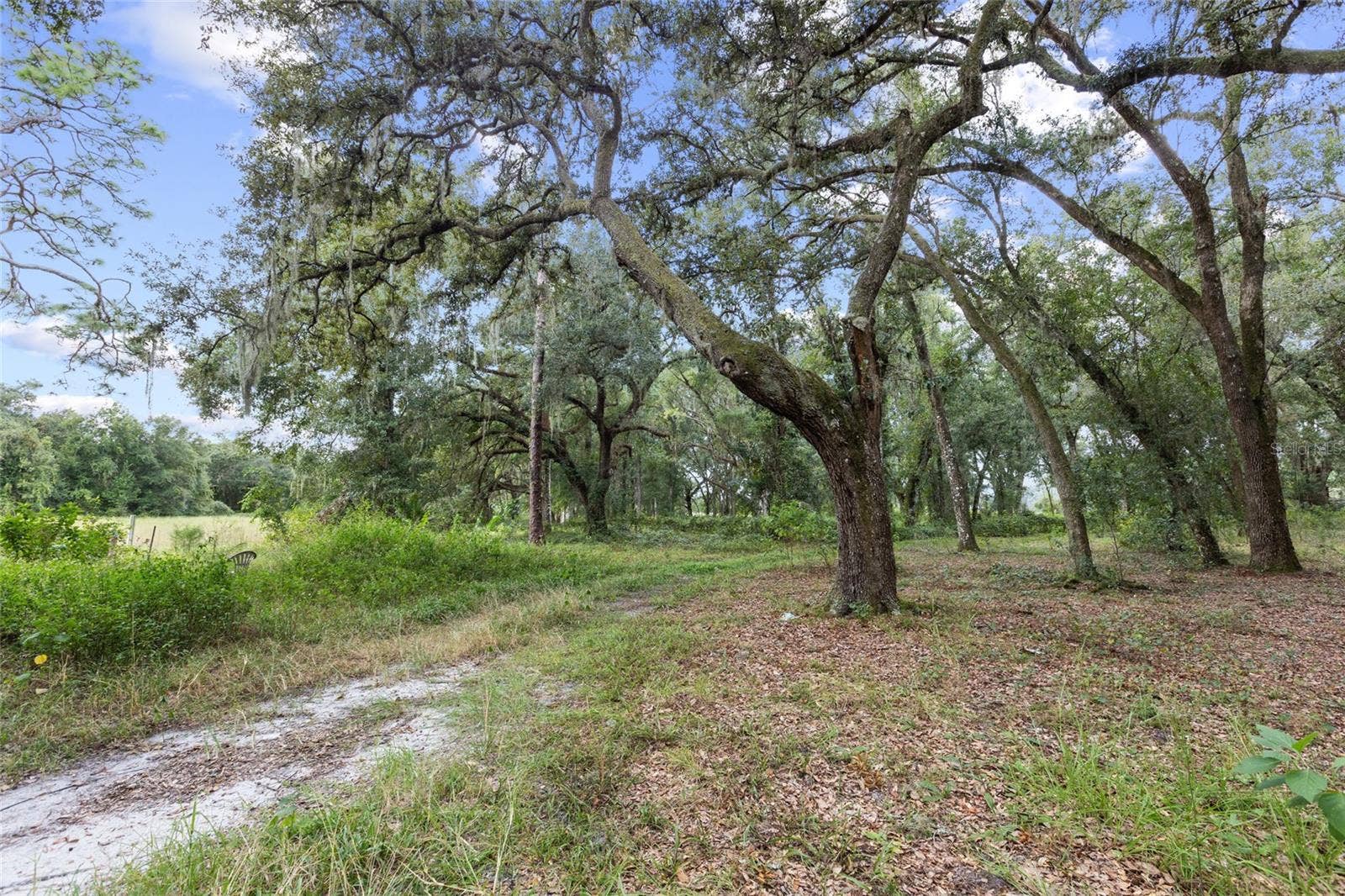 935 CR 738E, Webster, FL 33597 935 CR 738E, Webster, FL 33597