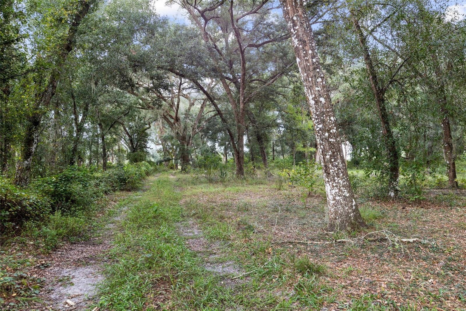935 CR 738E, Webster, FL 33597 935 CR 738E, Webster, FL 33597
