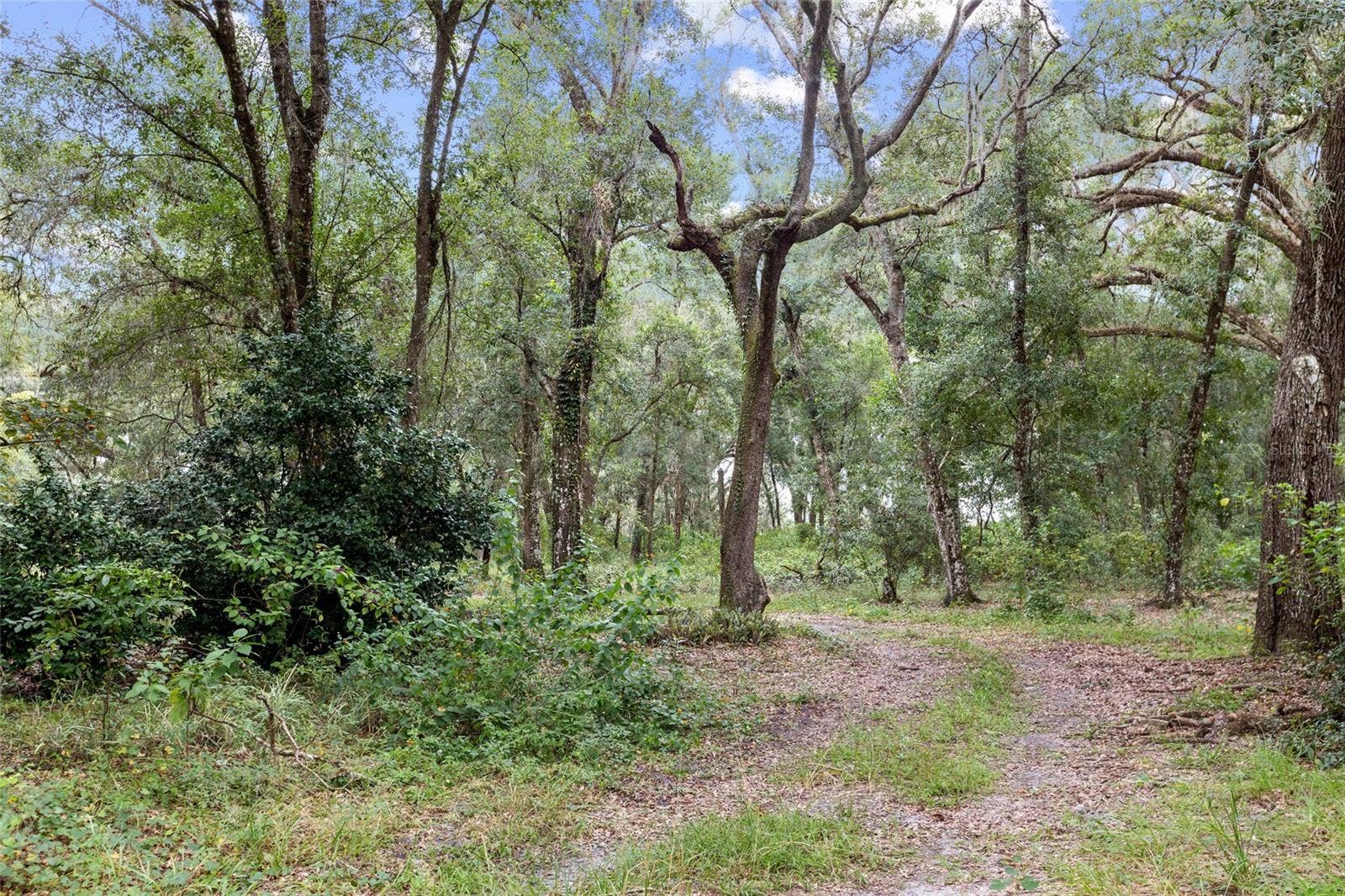 935 CR 738E, Webster, FL 33597 935 CR 738E, Webster, FL 33597