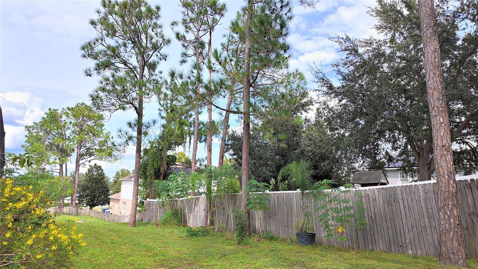 15838 SWITCH CANE STREET, Clermont, FL 34711