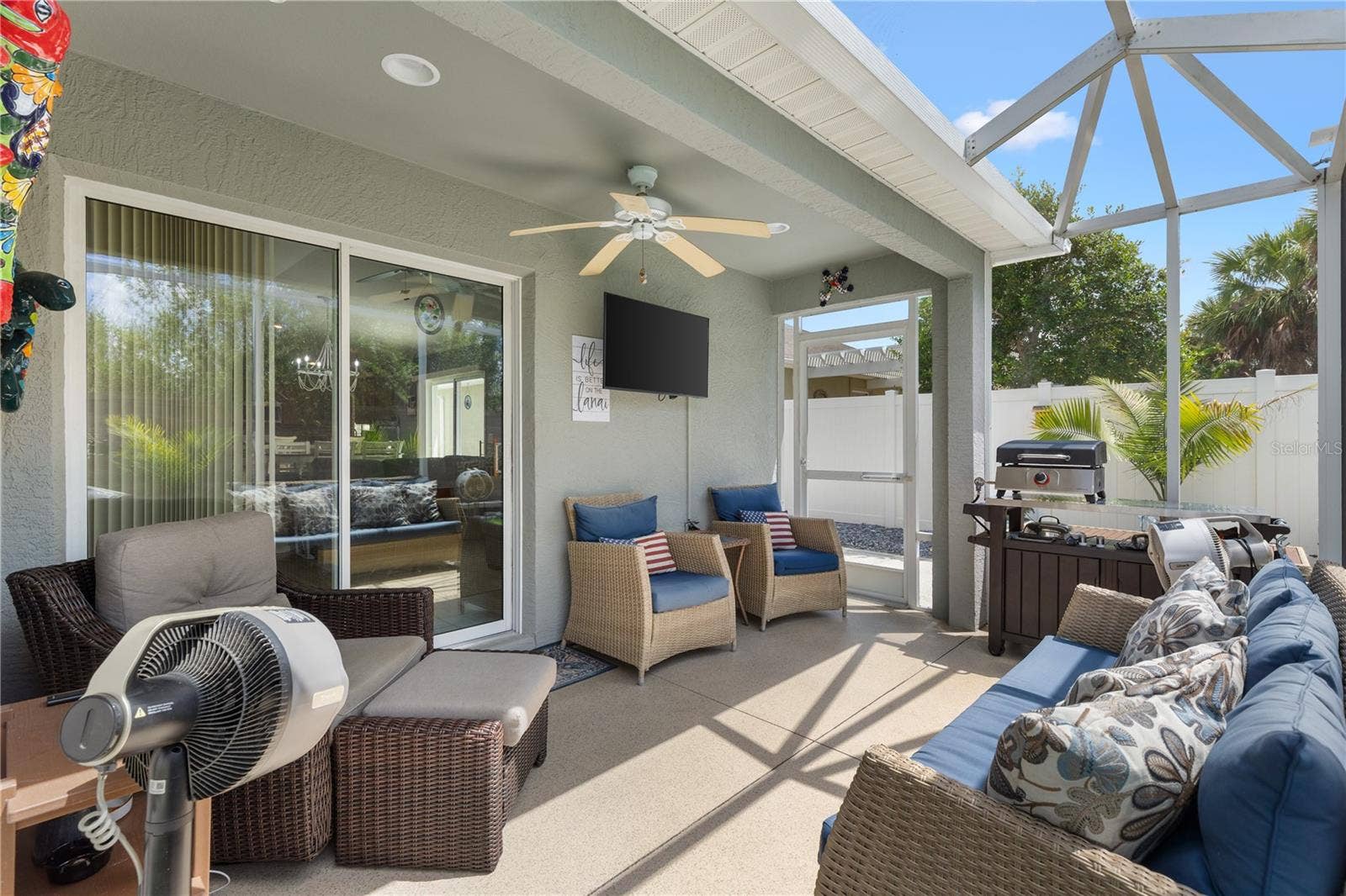 Covered TV on Lanai with extended screen.