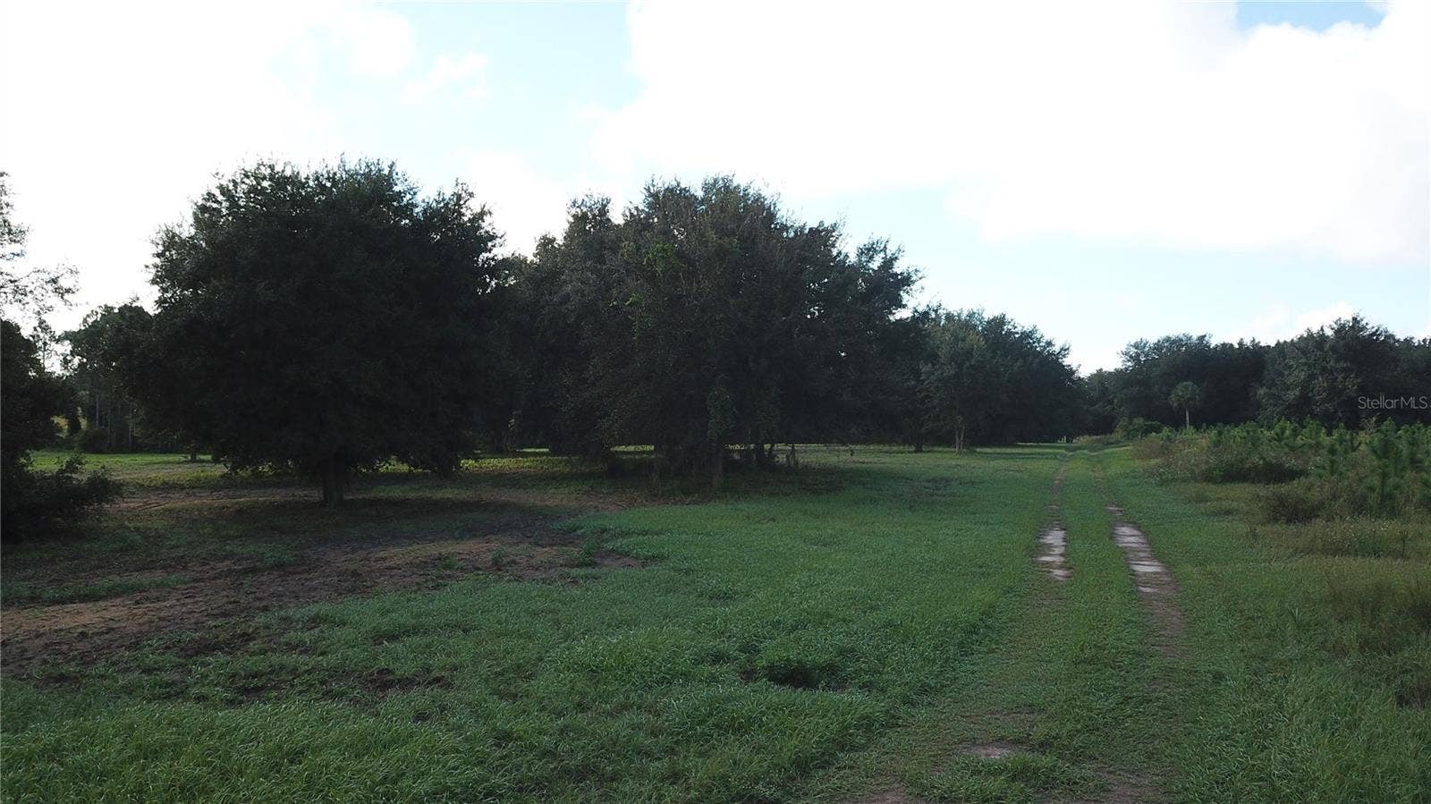 W LAKE YALE ROAD, Umatilla, FL 32784 W LAKE YALE ROAD, Umatilla, FL 32784