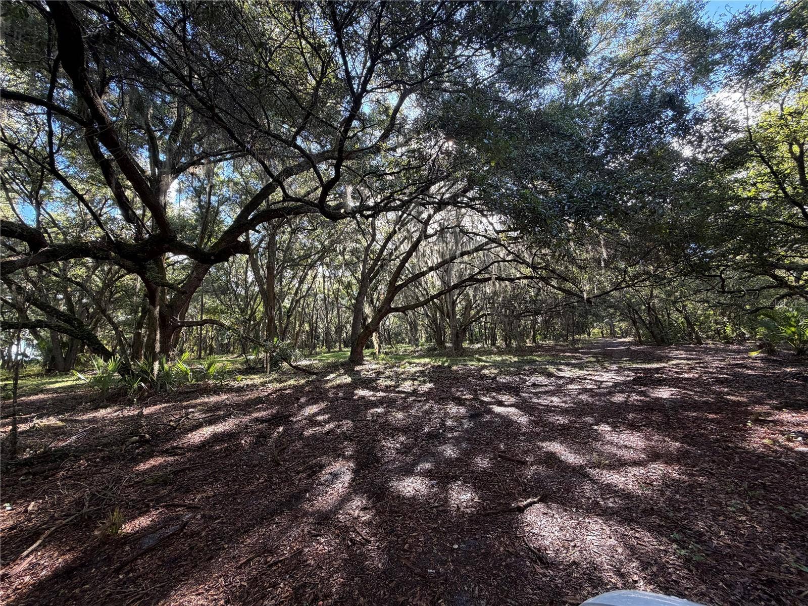 W LAKE YALE ROAD, Umatilla, FL 32784 W LAKE YALE ROAD, Umatilla, FL 32784