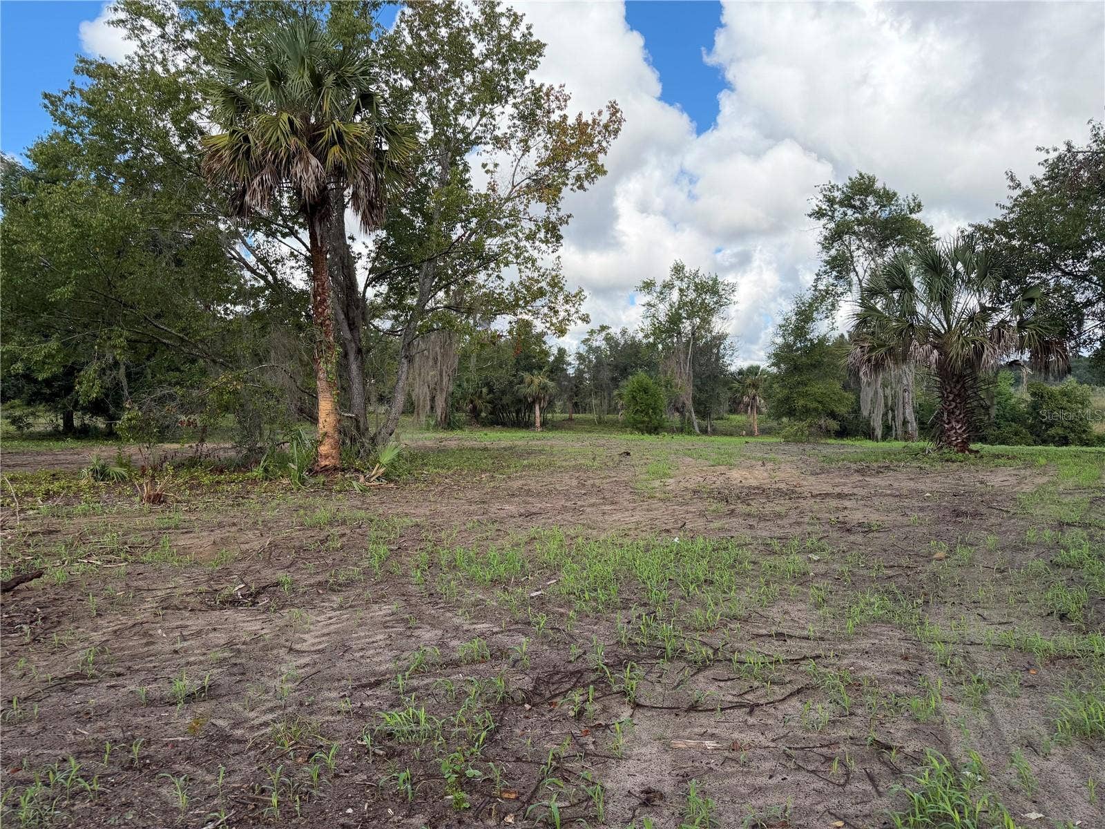 W LAKE YALE ROAD, Umatilla, FL 32784 W LAKE YALE ROAD, Umatilla, FL 32784