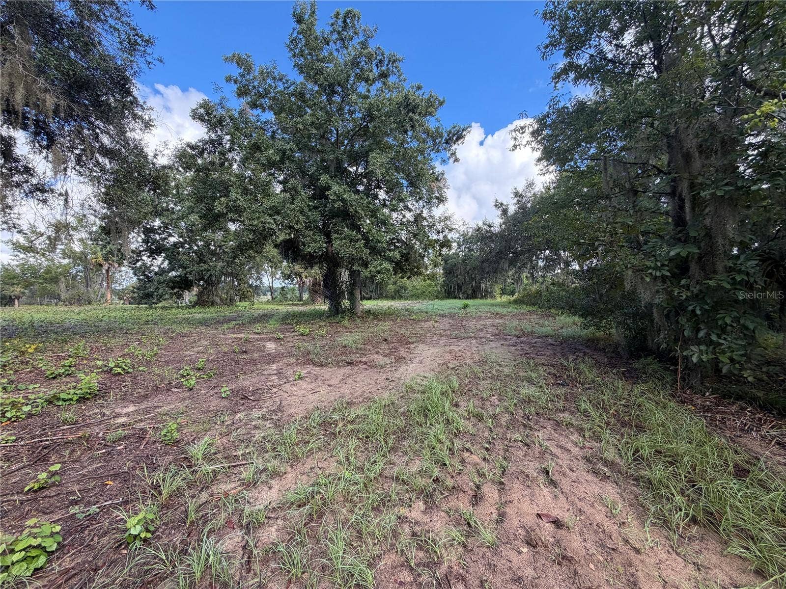 W LAKE YALE ROAD, Umatilla, FL 32784 W LAKE YALE ROAD, Umatilla, FL 32784