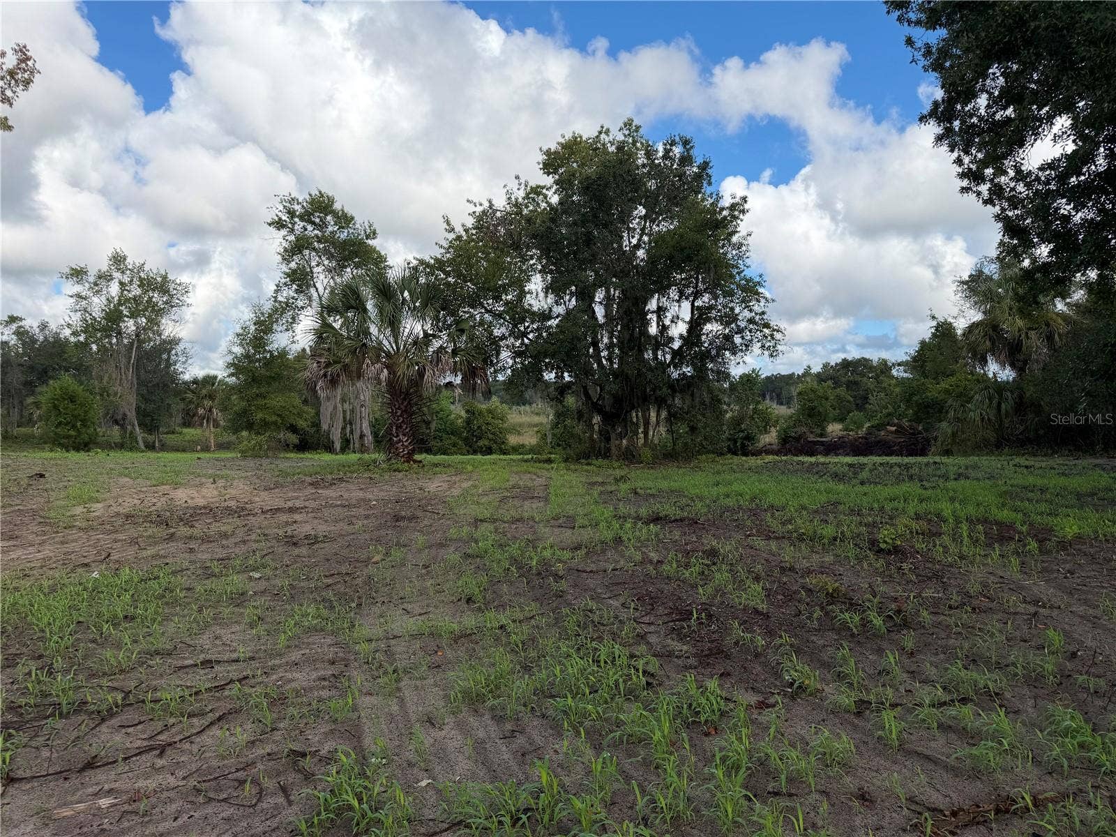 W LAKE YALE ROAD, Umatilla, FL 32784 W LAKE YALE ROAD, Umatilla, FL 32784