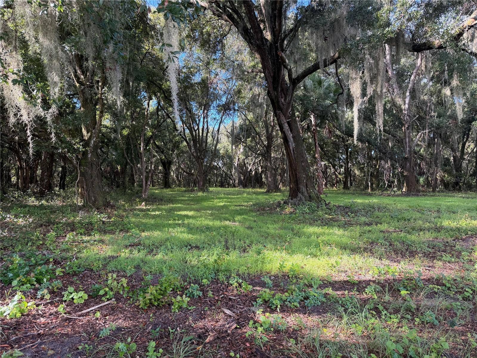 W LAKE YALE ROAD, Umatilla, FL 32784 W LAKE YALE ROAD, Umatilla, FL 32784
