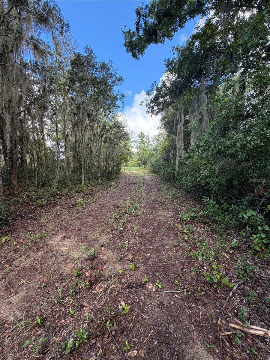W LAKE YALE ROAD, Umatilla, FL 32784 W LAKE YALE ROAD, Umatilla, FL 32784