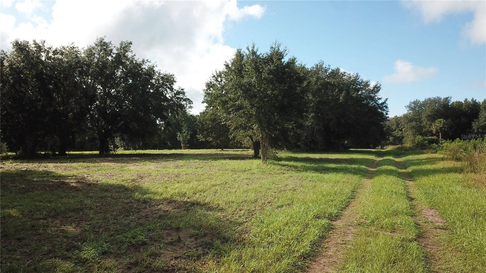 W LAKE YALE ROAD, Umatilla, FL 32784 W LAKE YALE ROAD, Umatilla, FL 32784