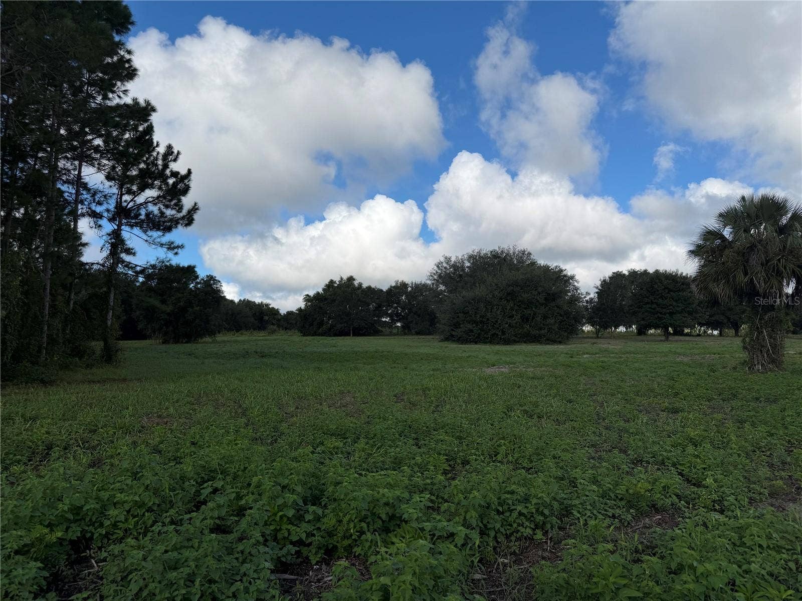 W LAKE YALE ROAD, Umatilla, FL 32784 W LAKE YALE ROAD, Umatilla, FL 32784