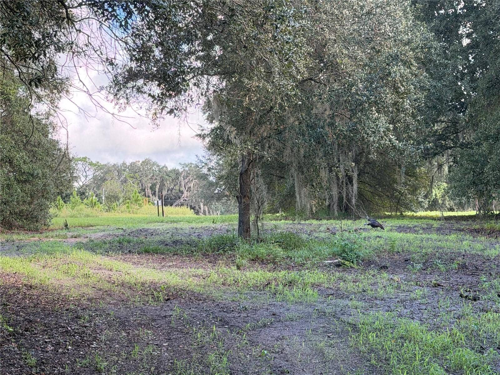 W LAKE YALE ROAD, Umatilla, FL 32784 W LAKE YALE ROAD, Umatilla, FL 32784