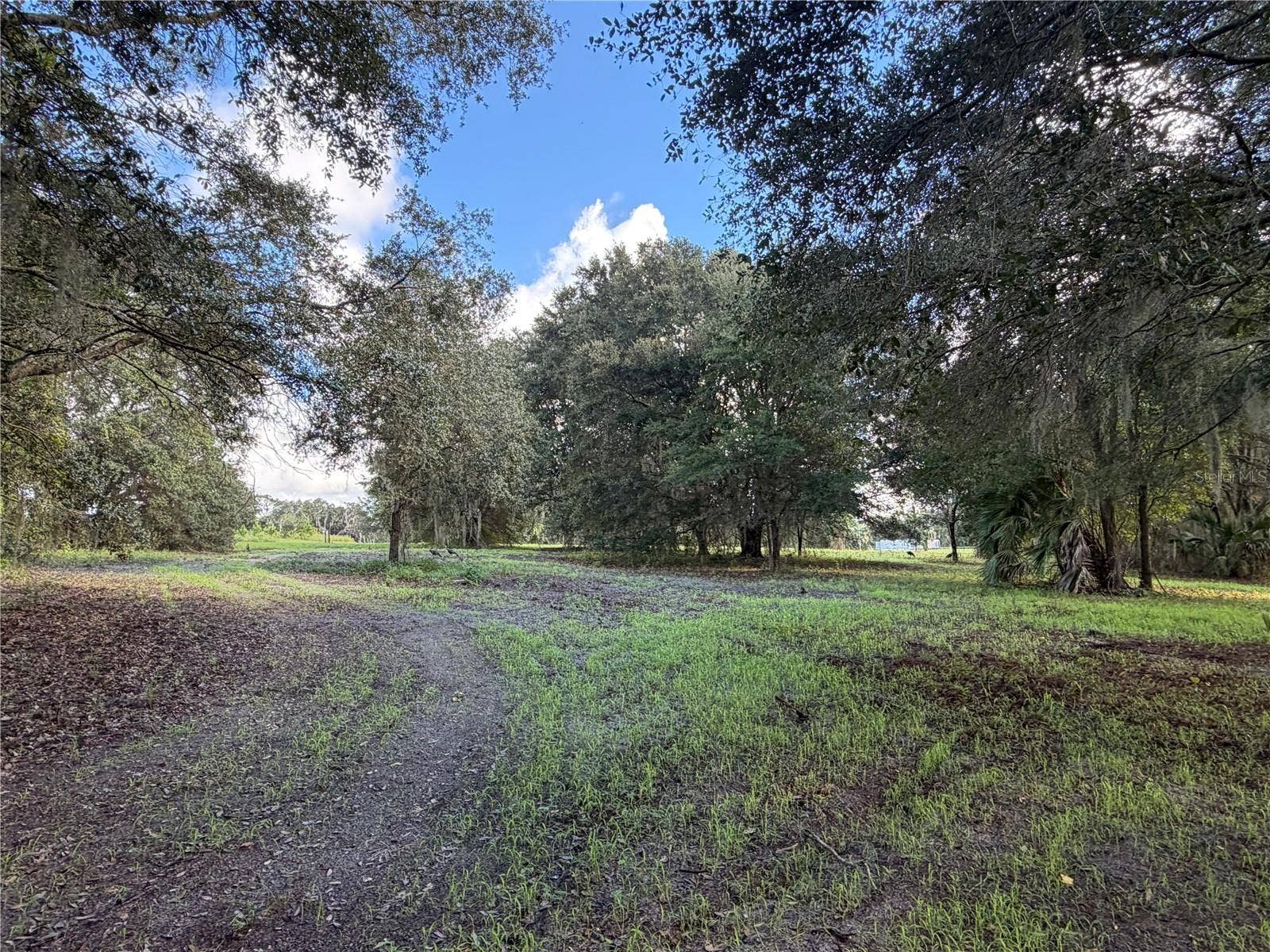 W LAKE YALE ROAD, Umatilla, FL 32784 W LAKE YALE ROAD, Umatilla, FL 32784
