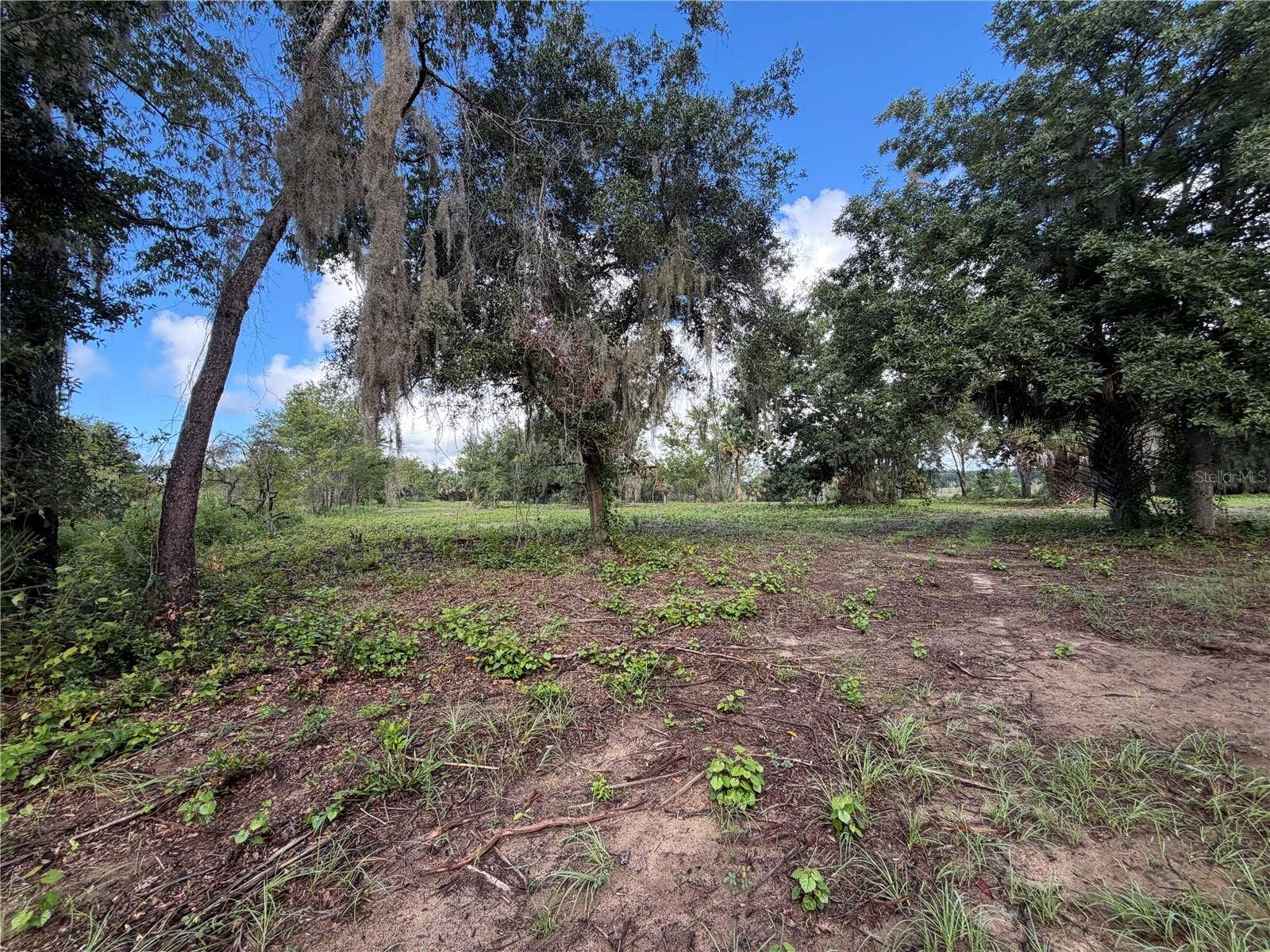 W LAKE YALE ROAD, Umatilla, FL 32784 W LAKE YALE ROAD, Umatilla, FL 32784