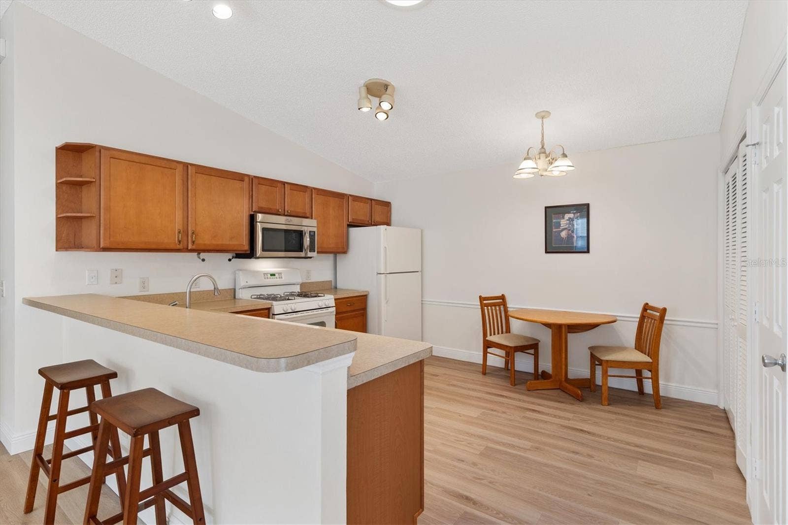 2300 RILEY ROAD, The Villages, FL 32162