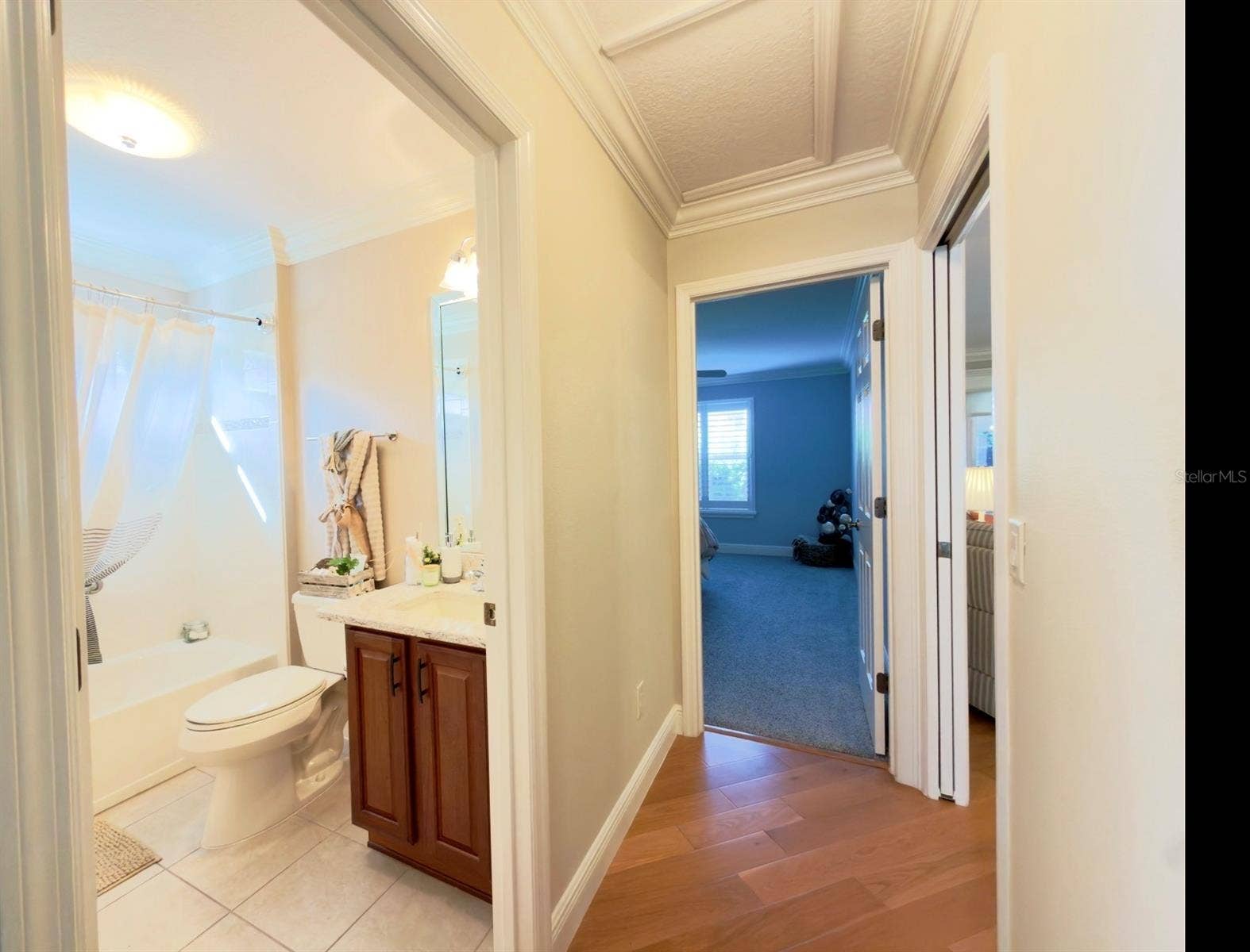 497 LITTLE RIVER PATH, The Villages, FL 32162