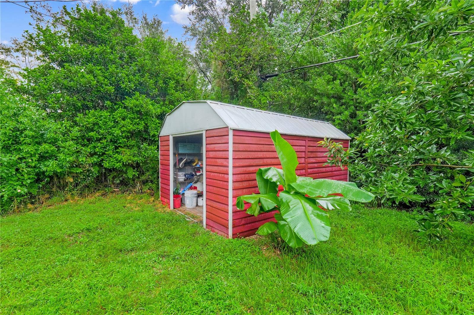 Shed