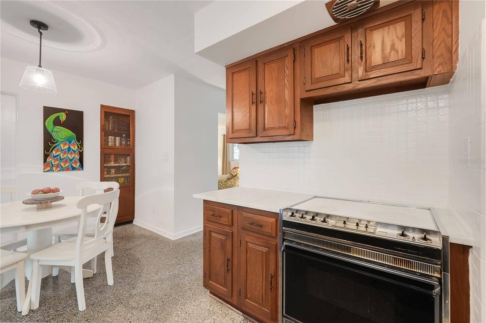 3607 S CRYSTAL LAKE DRIVE, Orlando, FL 32806