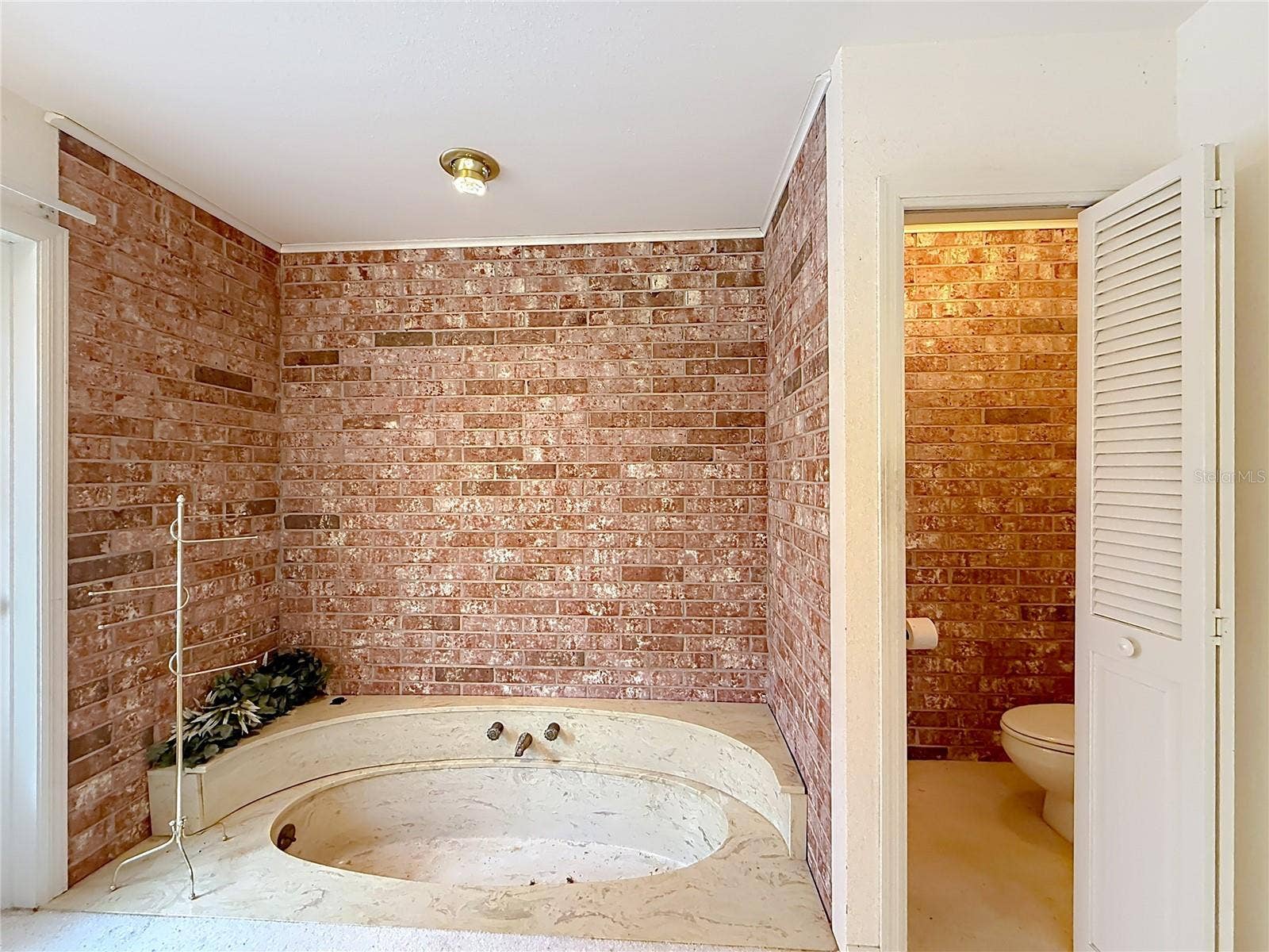 8038 SPRING DRIVE, Yalaha, FL 34797 Garden Tub