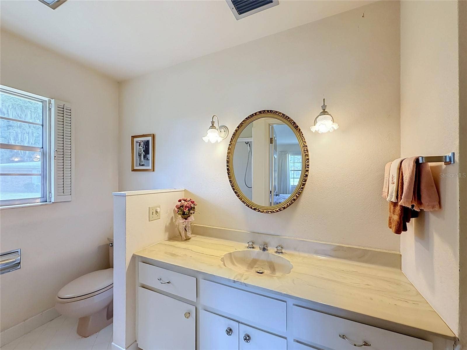 8038 SPRING DRIVE, Yalaha, FL 34797 Guest Bathroom
