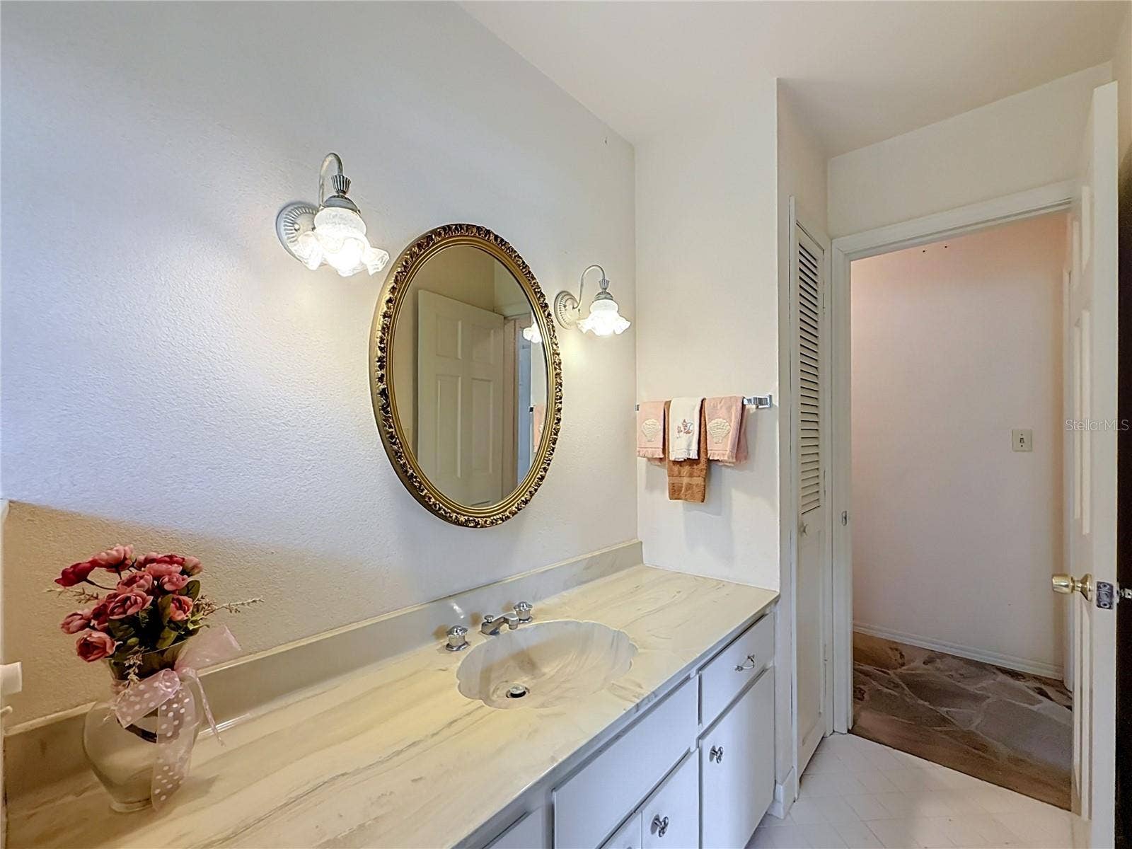 8038 SPRING DRIVE, Yalaha, FL 34797 Guest Bathroom to Hallway