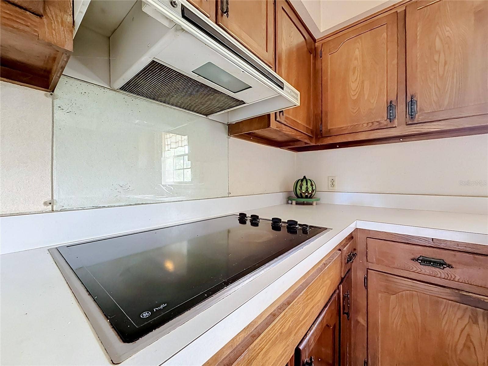 8038 SPRING DRIVE, Yalaha, FL 34797 8038 SPRING DRIVE, Yalaha, FL 34797